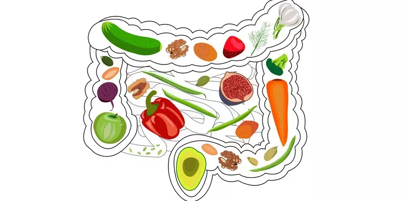 intestinal microbiota and its relationship with the healthy diet